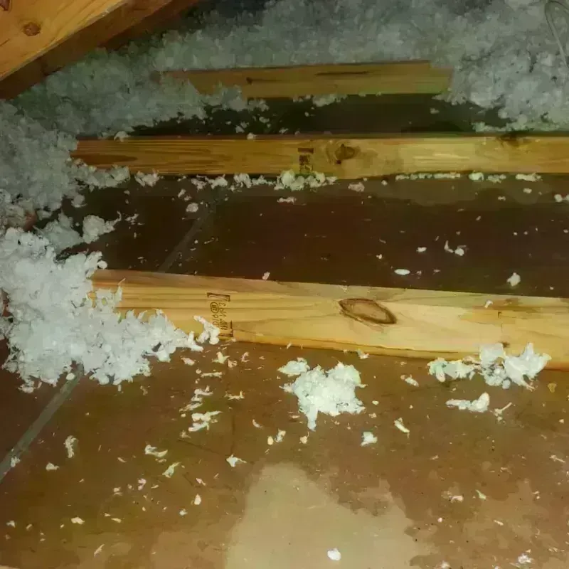 Attic Water Damage in Buxton, NC